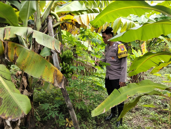 Bhabinkamtibmas Kurungrejo Tinjau Pemanfaatan Lahan Perkarangan untuk Ketahanan Pangan